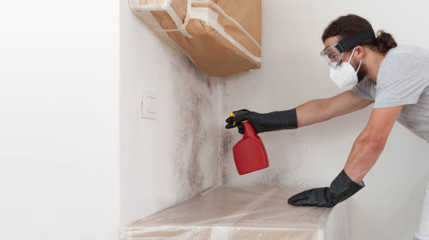 Professional Crawl Space Mold Remediation technician working in Barclay, MD