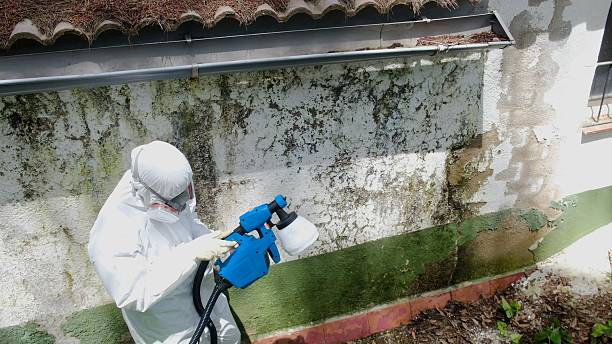 Top rated local Crawl Space Mold Remediation specialists in Barclay, MD